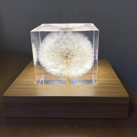 Cubo de Resina con Diente de León - Decoración Artesanal de Escritorio