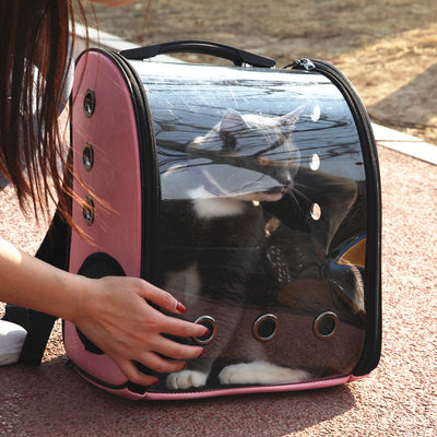 Mochila Transportadora Plegable para Mascotas - Image 6