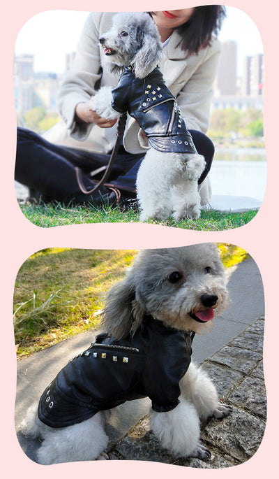 Abrigo de Cuero para Mascotas - Ropa de Moda Coreana para Perros y Gatos - Image 3