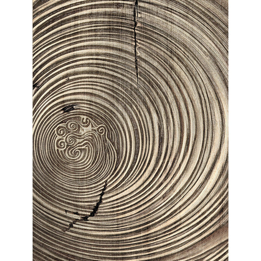 Cuadros Zen con Textura de Madera al Estilo Chino Tradicional - Image 2