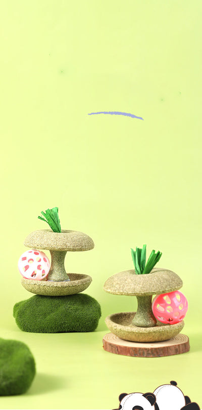 Juguete de Hierba Gatera Comestible con Campana - Juego Interactivo para Gatos - Image 12