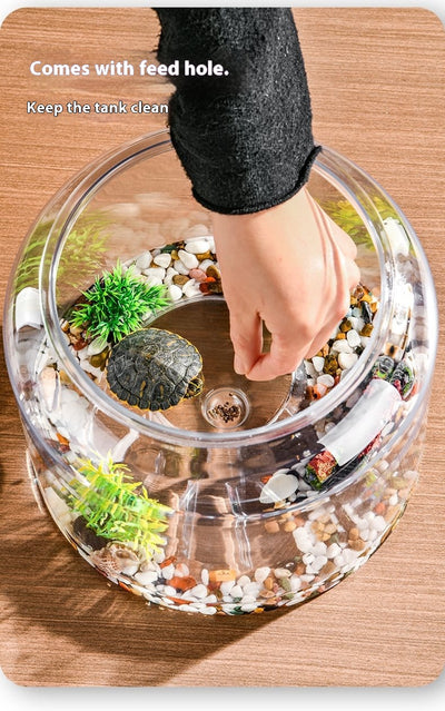 Acuario de Escritorio Ecológico con Alimentador Automático - Image 11