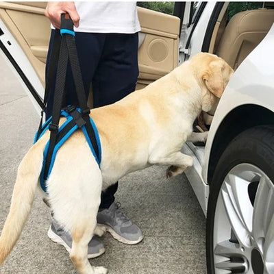 Arnés de Apoyo para Caminar Perros