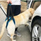 Arnés de Apoyo para Caminar Perros