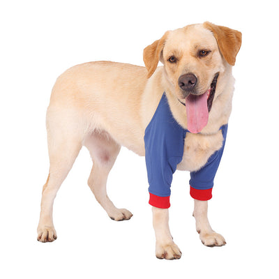 Protectores de Articulaciones para Mascotas - Protección Térmica y de Frío - Image 9