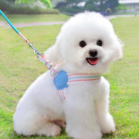 Arnés Respirador para Perros Pequeños y Medianos - Chaleco Cómodo para Paseos de Verano - Image 3