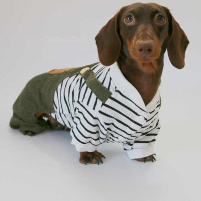 Ropa de Verano para Perros Pequeños - Pantalones de Pana Delgada