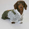 Ropa de Verano para Perros Pequeños - Pantalones de Pana Delgada
