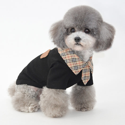 Ropa Fresca para Perros Pequeños - Diseño Ligero para Verano - Image 8