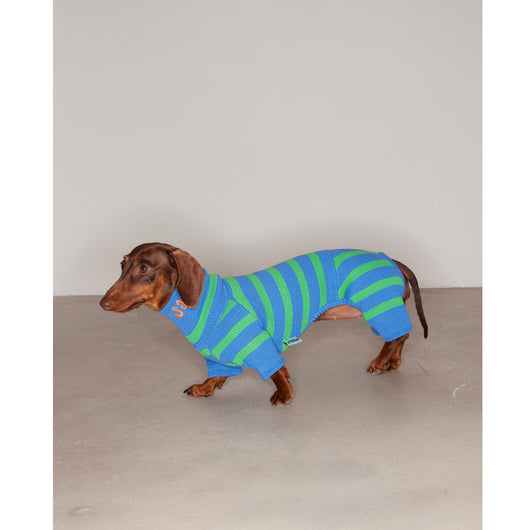 Suéter Elástico para Mascotas con Contraste de Colores - Image 11