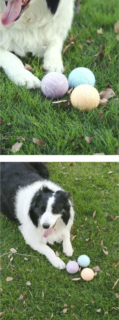 Peach yellow Petdora high elastic tennis ball dog toy next to its clear iridescent 'Popping Ball' packaging. - Image 14