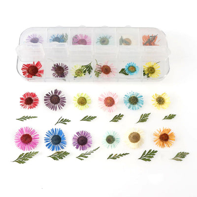 Set de 12 Cajas de Joyas con Flores Secas Naturales - Image 8