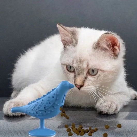 Juguete Interactivo para Gatos con Forma de Pájaro - Dispensador de Premios y Masticable - Image 4
