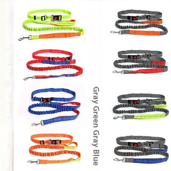 Correa Reflectante para Perros con Elástico - Ideal para Correr de Noche