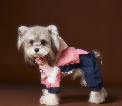 Ropa Deportiva para Perros Bichon Schnauzer con Arnés de Seguridad VIP - Image 17