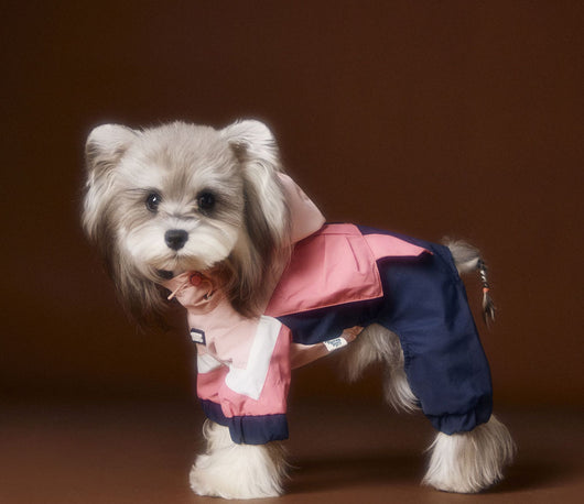 Ropa Deportiva para Perros Bichon Schnauzer con Arnés de Seguridad VIP - Image 17