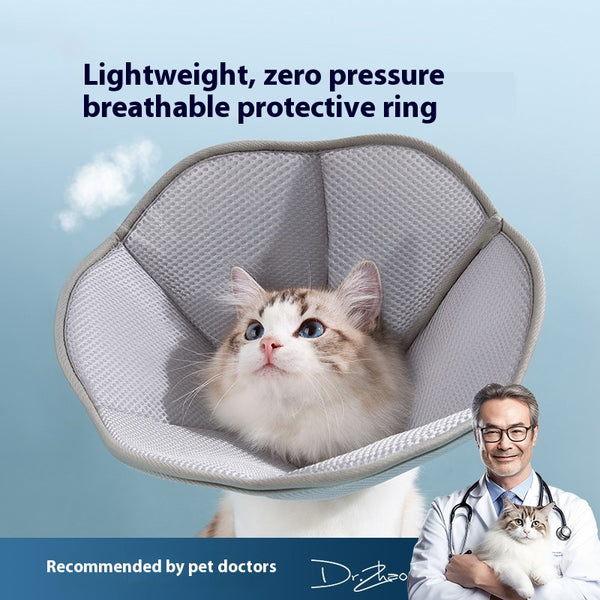 Collar Isabelino para Gatos - Protección Anti-arañazos