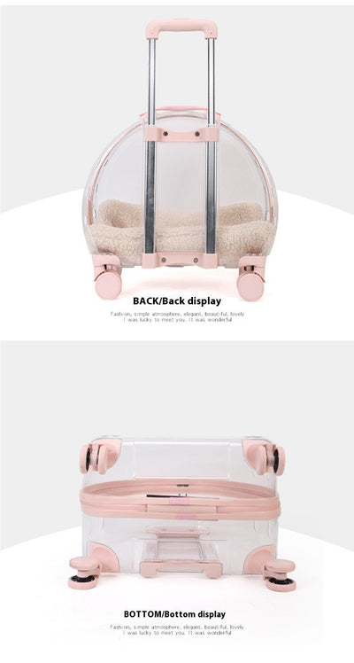 Mochila Transportadora Transparente para Gatos y Mascotas Pequeñas - Image 16