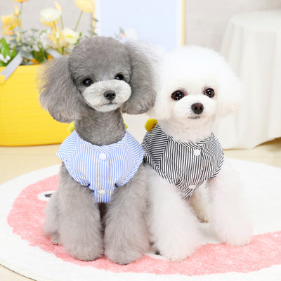 Chaleco Personalizado de Moda para Perros - Image 2