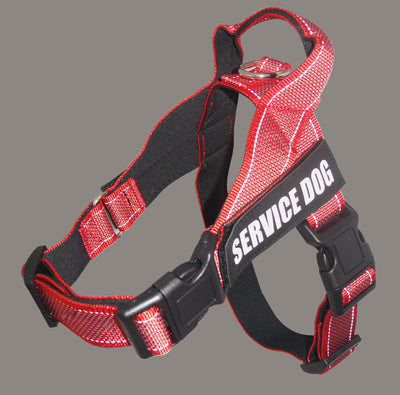 Arnés de Seguridad para Perros Grandes en Auto - Image 6