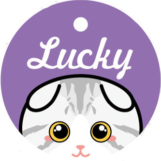 Placa de Identidad Personalizada para Mascotas - Image 7