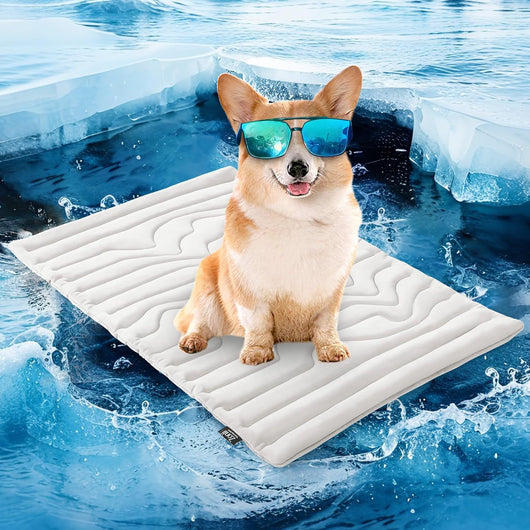 Golden retriever wearing sunglasses on a light gray quilted pet cooling mat, floating on icy blue water. - Image 19