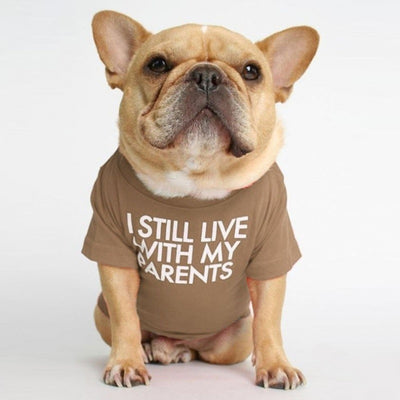 Polera Cuello Alto para Mascotas - Diseño Clásico y Cómodo - Image 11