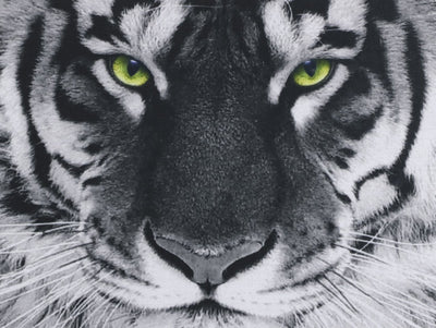 Tapete para Ratón con Diseño Gato Divertido - Image 11