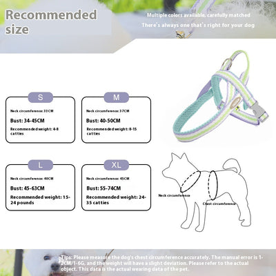 Arnés Portátil para Perro con Cuerda de Mano - Image 3