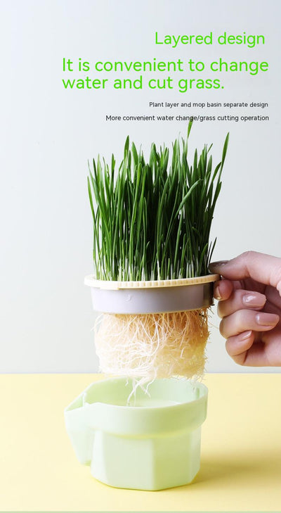 Mint green hydroponic cat grass cup with fresh rye and wheat grass, including 3 packs of each seed type. - Image 12