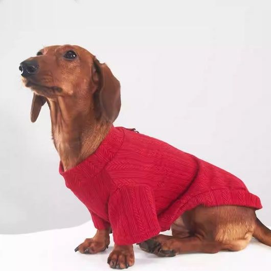 Prenda Base Elástica para Perros y Gatos - Abrigo Otoño e Invierno
