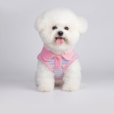 Chaleco Otoñal para Mascotas Pequeñas y Gatos - Image 13