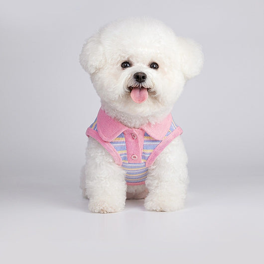 Chaleco Otoñal para Mascotas Pequeñas y Gatos - Image 13