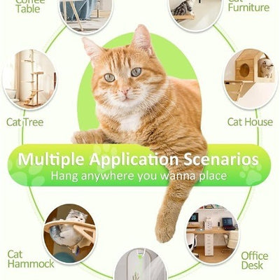 Automatic interactive cat toy with a white and blue door hanger, retractable string, and grey mouse lure. - Image 5
