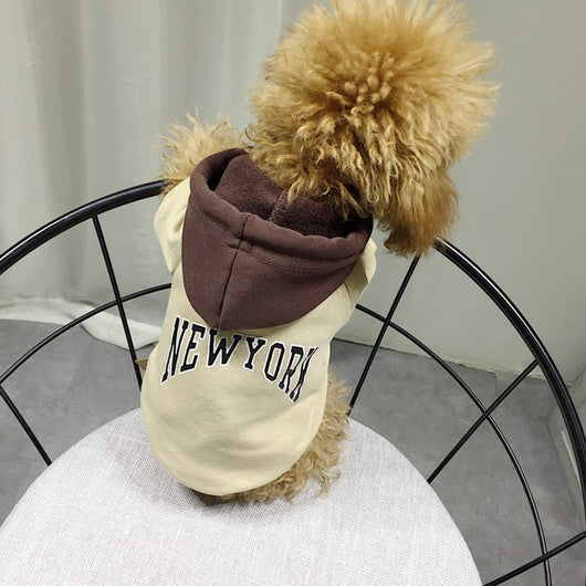 Sudadera con Capucha de Algodón Terry para Mascotas - Diseño Casual con Letras - Image 7