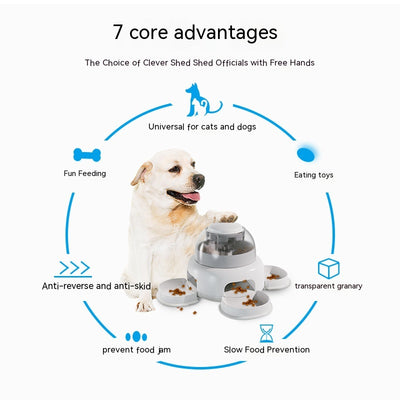 Comedero Automático Inteligente para Perros con Control de Porciones - Image 4