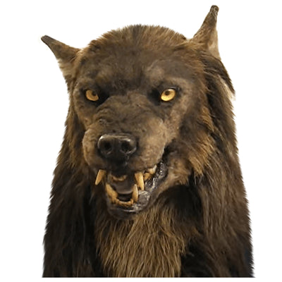 Máscara de Lobo Hombre Halloween - Disfraz Cosplay Cabeza Giratoria Realista - Image 12