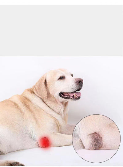 Protector de Patas para Perros con Soporte de Rodilla y Correas Ajustables - Image 9
