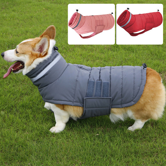 Abrigo Impermeable para Perros Grandes - Trinchera Térmica Corgi y Razas Medianas - Image 5