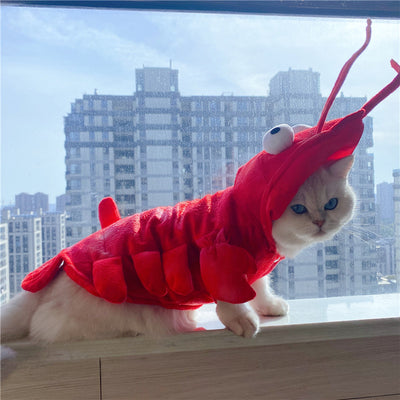 Disfraz de Gato Langosta para Mascotas - Navidad y Halloween - Image 10