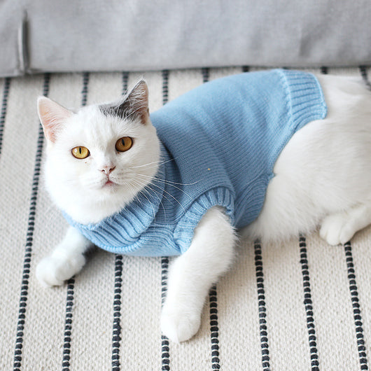 Suéter Gato Azul Británico para Otoño e Invierno - Image 26