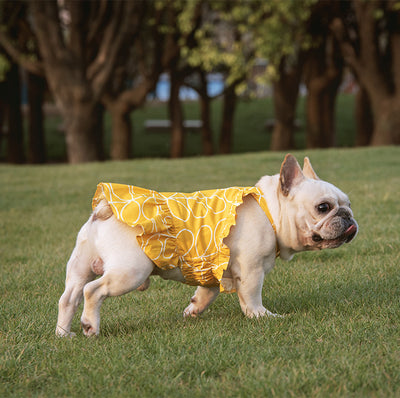 Vestido de Algodón para Mascotas con Estampado Cartoon - Primavera - Image 10