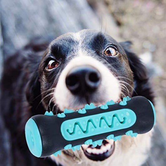 Juguete Masticable para Limpiar Dientes de Perros - Palo Dental de Goma Natural - Image 8