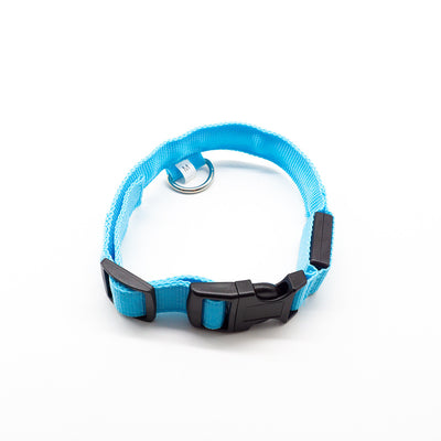Collar LED Recargable para Mascotas - Image 16