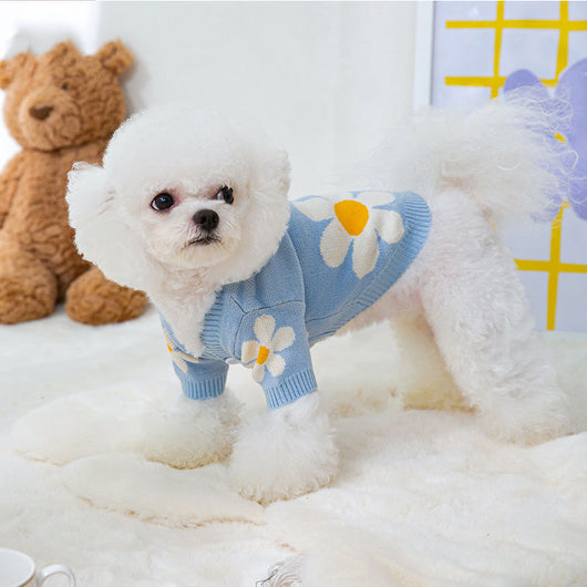 Ropa de Abrigo Otoño-Invierno para Mascotas Pequeñas: Pomerania, Schnauzer, Bichón y Gatos - Image 3
