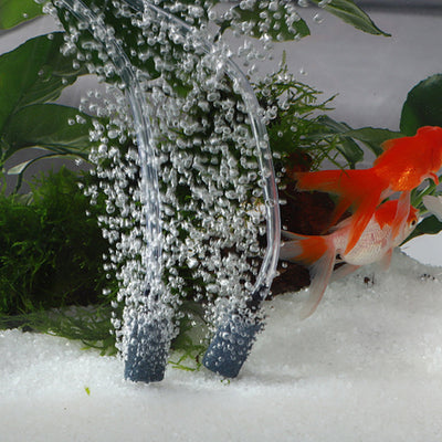 Bomba de Oxígeno Silenciosa para Reproducción de Peces - Image 10