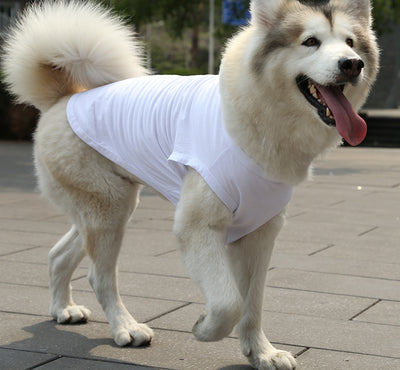 Chaleco y Camiseta para Perro XS-5XL | Ropa Fresca para Perros Pequeños - Image 21