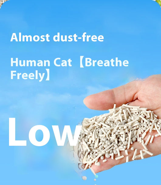 Arena Aglomerante para Gatos con Aroma Fresco - Económica y Efectiva - Image 15