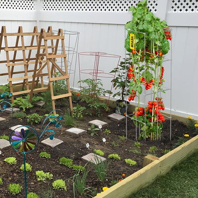 Jaulas Tutores para Tomates 46cm - Pack 5 Estructuras Cuadradas de Acero Galvanizado
