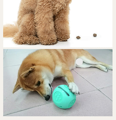 Pelota Interactiva para Perros y Gatos - Juguete Dispensador de Comida con Silicona Segura - Image 8